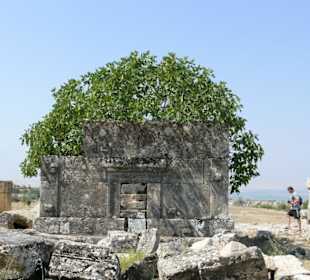 Hieropolis