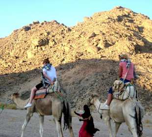 Przejażdżka wielblądem