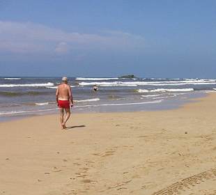 Beach - Nur ein Strandgeher 