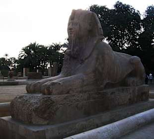 Sphinx