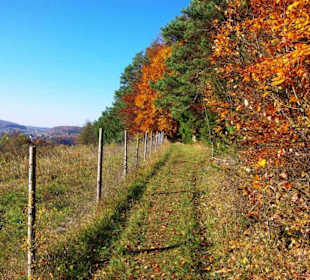 Sehr schöne Wanderwege