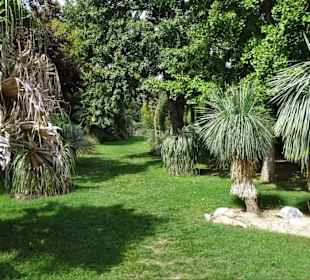 Impressionen vom Jardin des Plantes