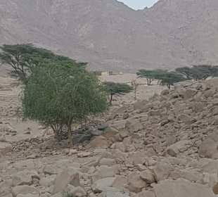 Tour durch die Wüste