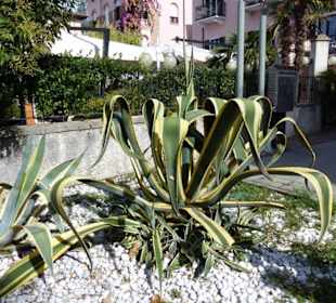 In der Altstadt von Sirmione