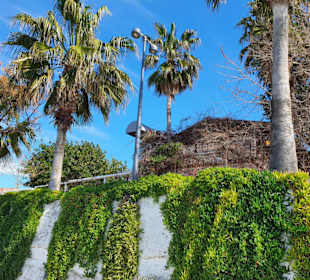 Altstadt Side - Hafen