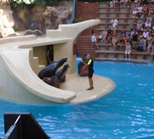 In freudiger Erwartung