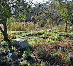 Rundgang durch den Botanischen Garten Hamburg