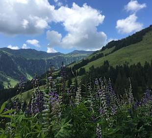 Wandern Saalbach-Hinterglemm