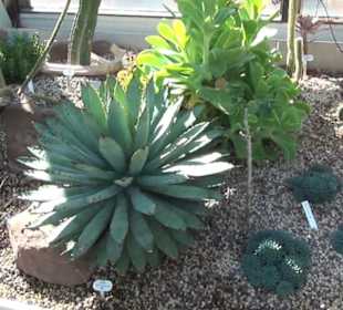 Berggarten