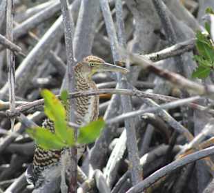 Nationalpark Sian Ka'an