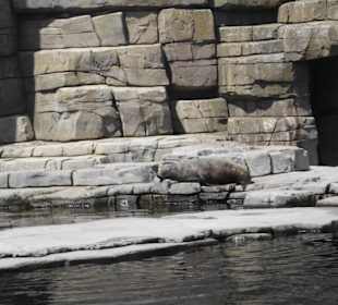 Tierpark Hagenbeck