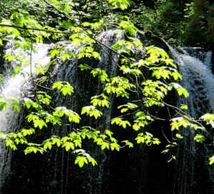 Wasserfall im Gegenlicht