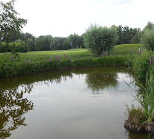 Eingebettet in die Golfanlage