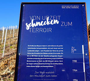 Von der urzeit zu heutigen Weinbau