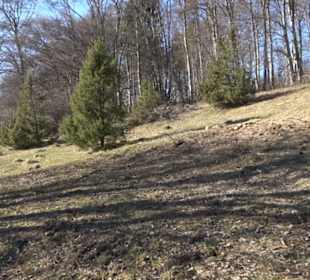 Naturerlebnispfad Meidelstetten