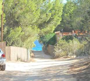 Au der Suche nach dem Römerweg