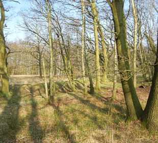 Wunderschöne Boberger Niederung