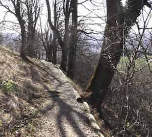 Wanderweg zur Achalm