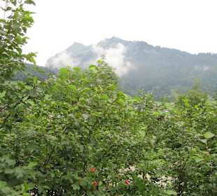 Gipfel im August
