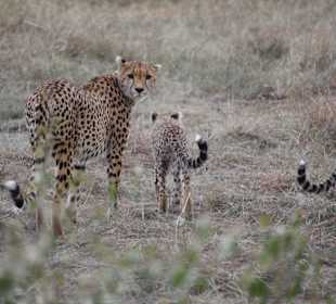 Geführte Touren Nova Tours