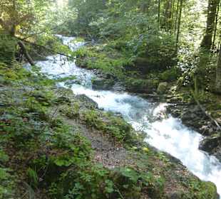 Der Oybach im Oytal, südöstlich von OBerstdorf