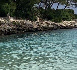 Strand Cala d'Or