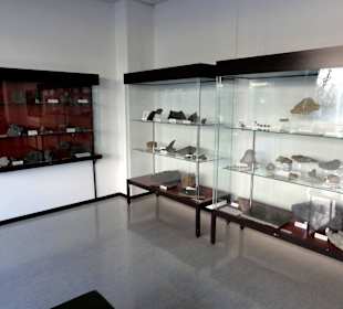 Gang durch das Geowissenschaftliche Museum