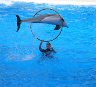 Loro Parque