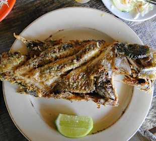 Jeder einen ganzen Papageienfisch