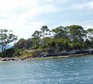 Isle of the Dead