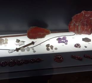 Museum für Naturkunde