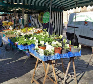 Impressionen vom Wochenmarkt Norden