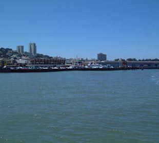 Pier 39
