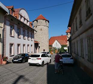 Wandern Flörsheim-Dalsheim