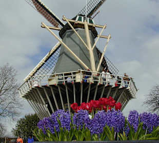 Das Wahrzeichen des Keukenhofes