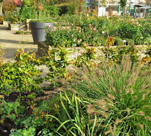 Rundgang durch den Kurpark Bad Iburg