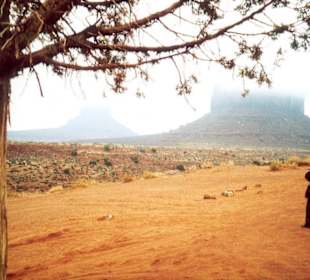 Monument Valley im Winternebel