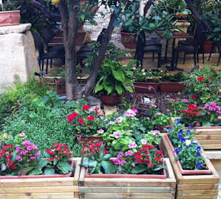 Mdina - Eingang zum Teehaus