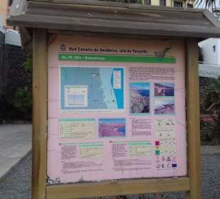 Plaza Patrona de Canarias in Candelaria