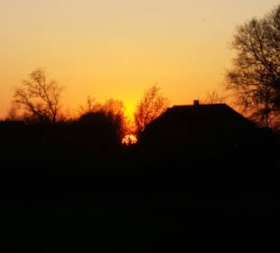 Wandern Alt Duvenstedt