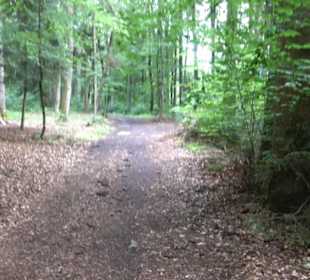 Wanderweg - Alter Steinbruch Pfaffenberg Runde