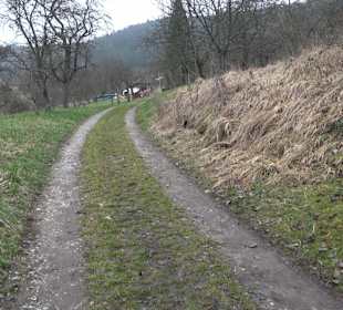 Unterjesinger Wengertwegle