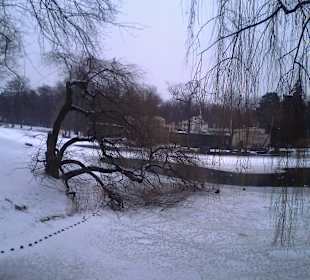 Łazienki wczesną wiosną.