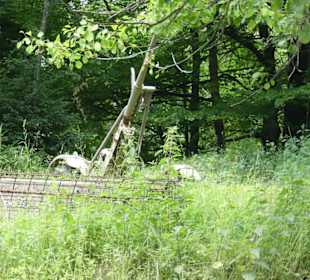 Eingegrabener Panzer