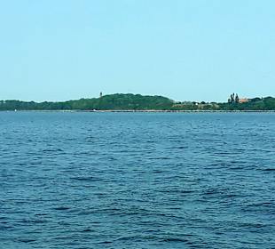 Apollo Tagestour zur Greifswalder Oie 