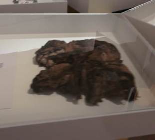 Museum für Gestaltung