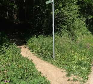 Wanderweg Sieben-Täler-Runde 