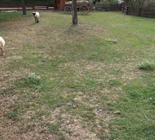 Erlebnispark Tripsdrill