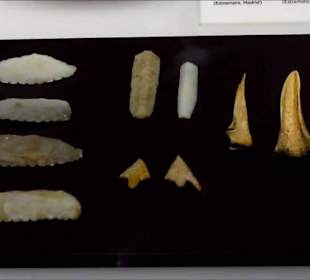 Museo Arqueologico Nacional