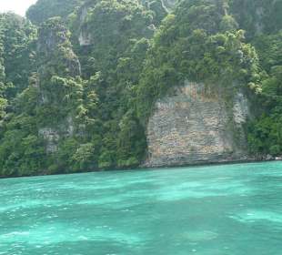 Monkey Bay